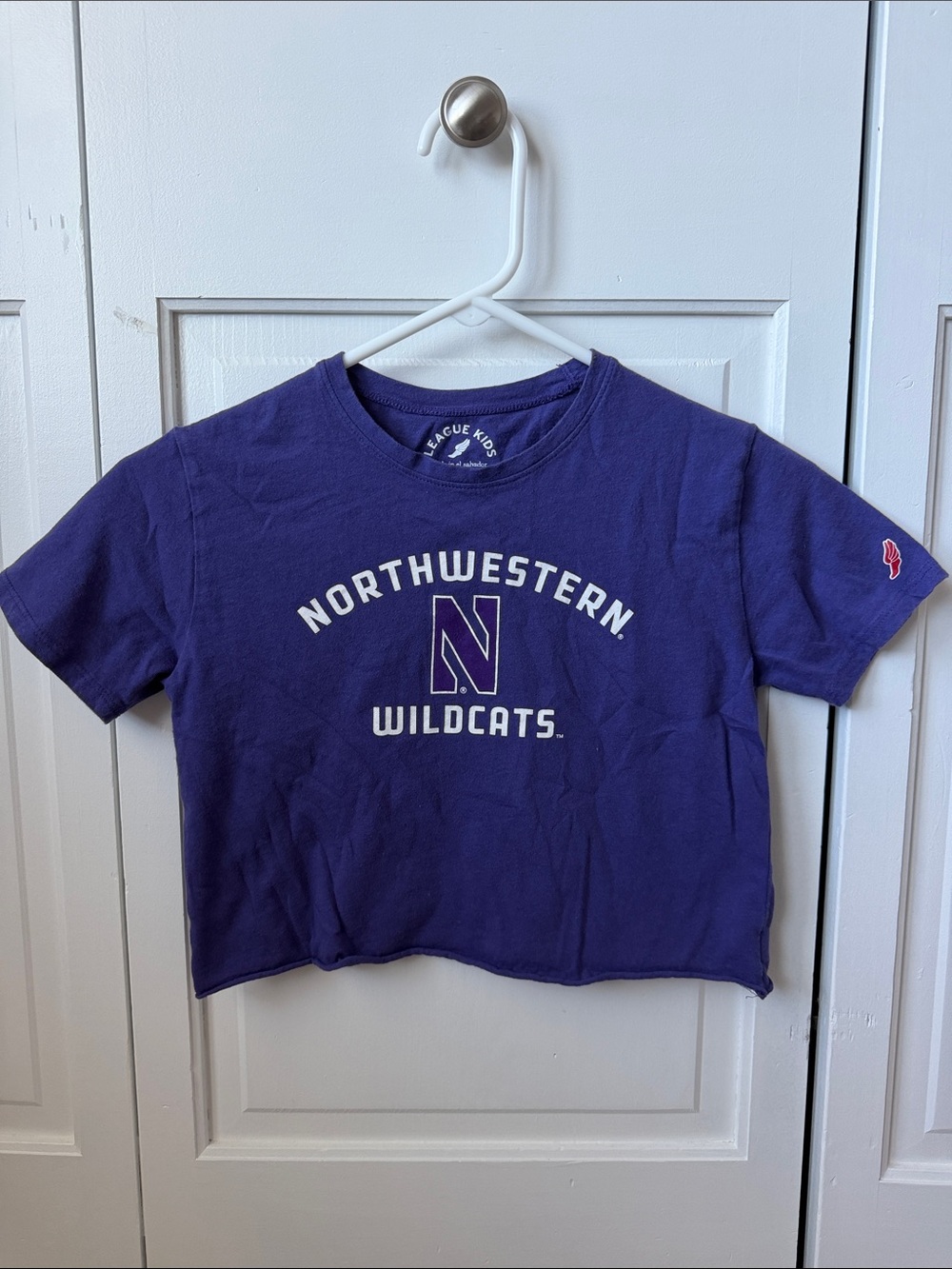 Northwestern Wildcats Purple Kids Cropped Tee size 7-8